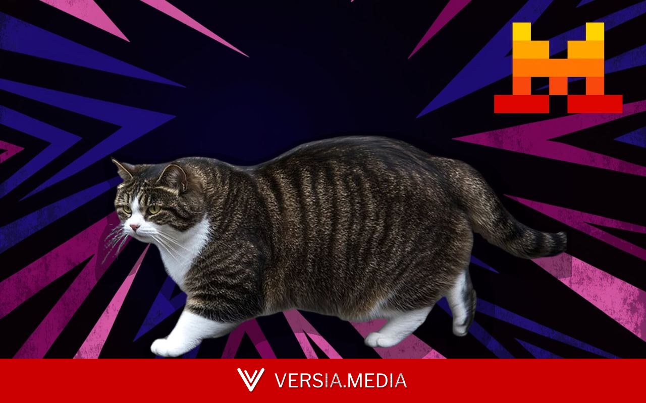 C’est quoi « Le Chaton Fat » attribué à Mistral : le meilleur LLM du moment ? — Tech | Versia.media