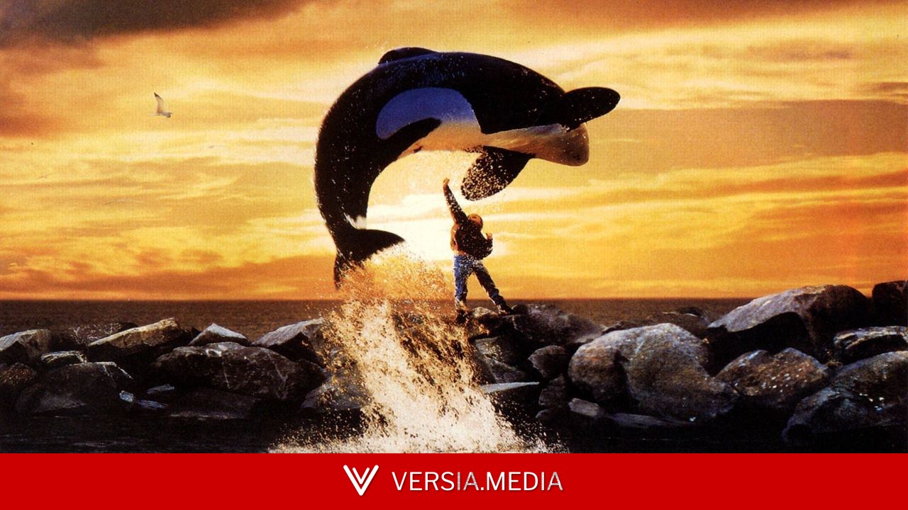 Après Avengers, Sauvez Willy : le projet le plus improbable des frères Russo bouscule Hollywood