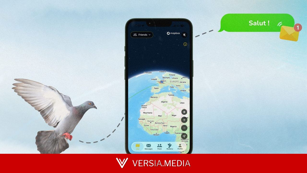 16 jours pour recevoir un message par pigeon voyageur : le drôle de pari du réseau social Roost
