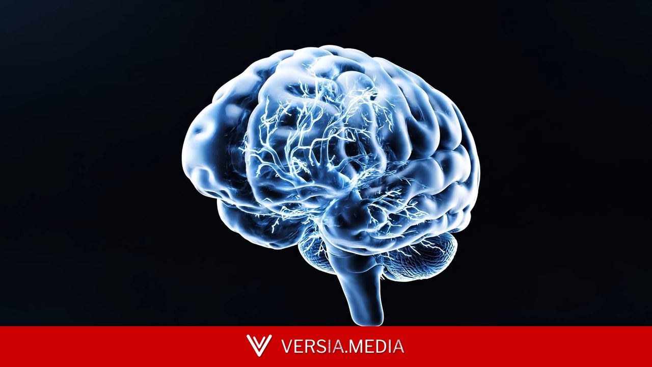 Neuralink parvient à insérer son implant sans découper la membrane protectrice du cerveau